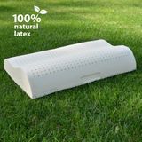 Латексная подушка КОНТУР 38x60 см анатомическая 2016 фото Hevea